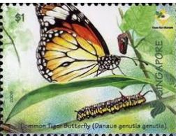 danaus-genutia-stamp.jpg