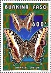 Image result for Charaxes castor stamp