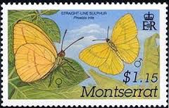 Image result for Phoebis trite stamp