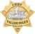 Vallejo Police Super Bowl LX Gold Star A