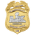 Alameda County Sheriff's Office Super Bowl LX Gold Eagle Top Shield