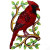Cardinal on Branch Painted Wall Art