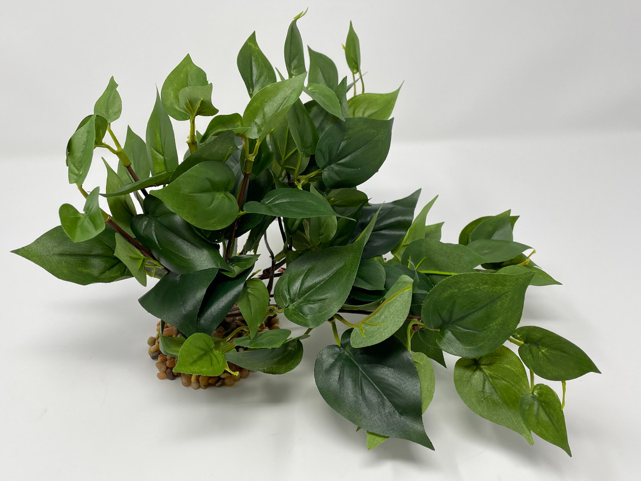 succulent classes near me Garden Workshops & Plant Craft | Nashville, TN