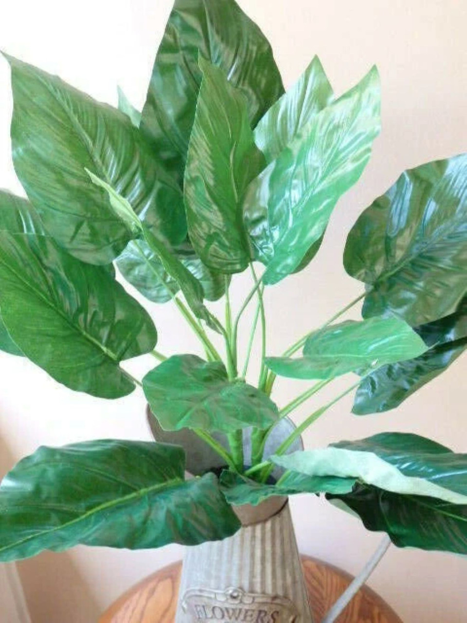plants paper Classic Houseplants Bundle