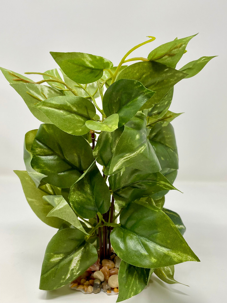 7"x 5" THIN MEDIUM Green/White POTHOS Bush, soft silk plant in stone base,  Goldfish & Betta-safe plant, Lower Forty Farm artificial aquarium plant -  Lower Forty Farm