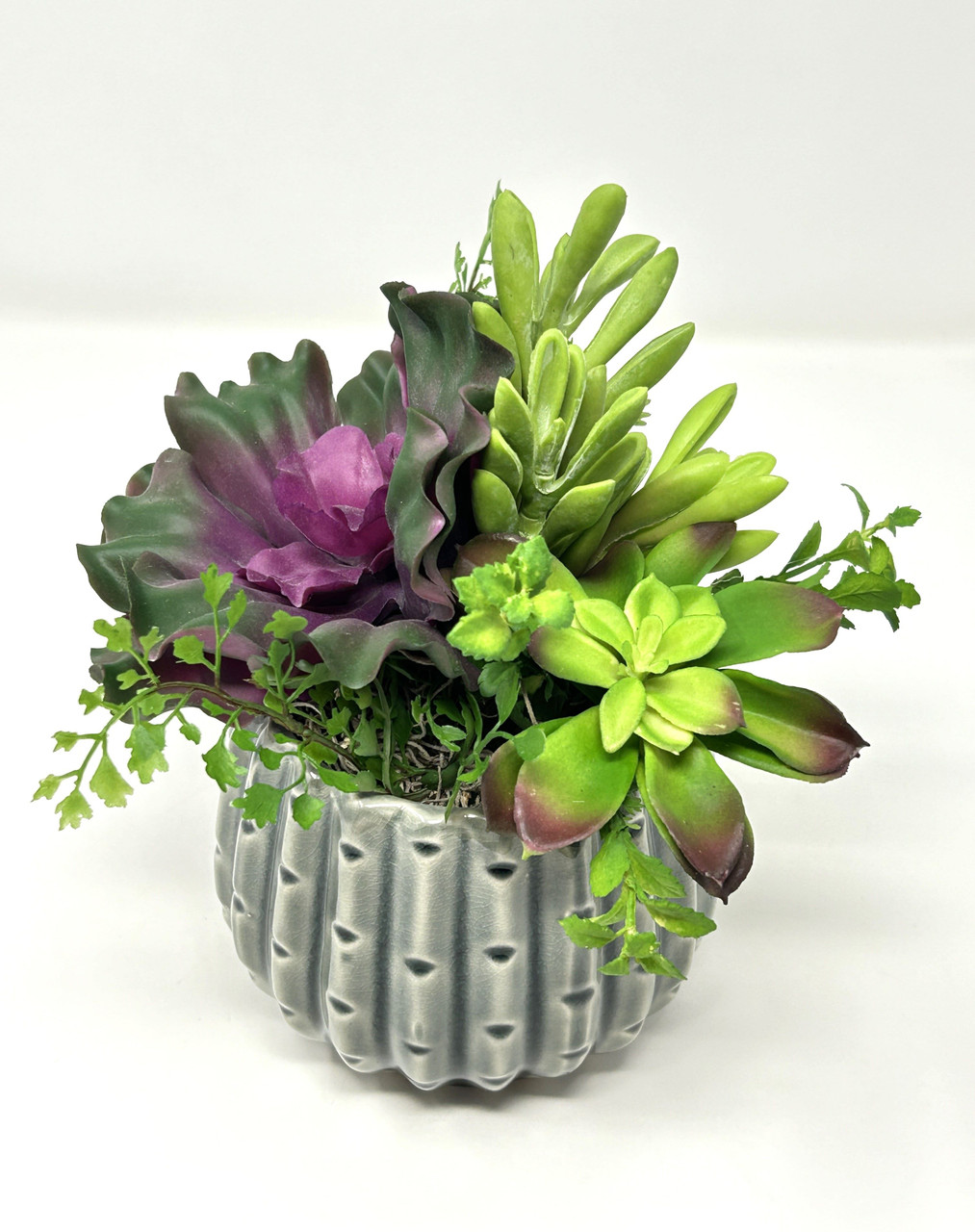succulent gift delivery Plant Gifts | Desert Rose Succulent Arrangement