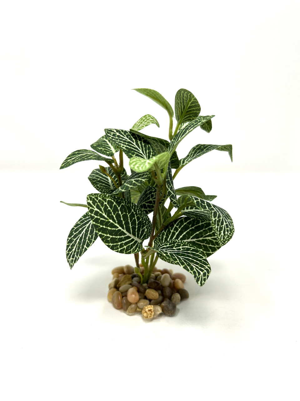 5" SM Dk Green Fittonia NERVE Silk Aquarium plant, STONE base, Goldfish &  Betta-safe plant, Lower Forty Farm artificial aquarium plant
