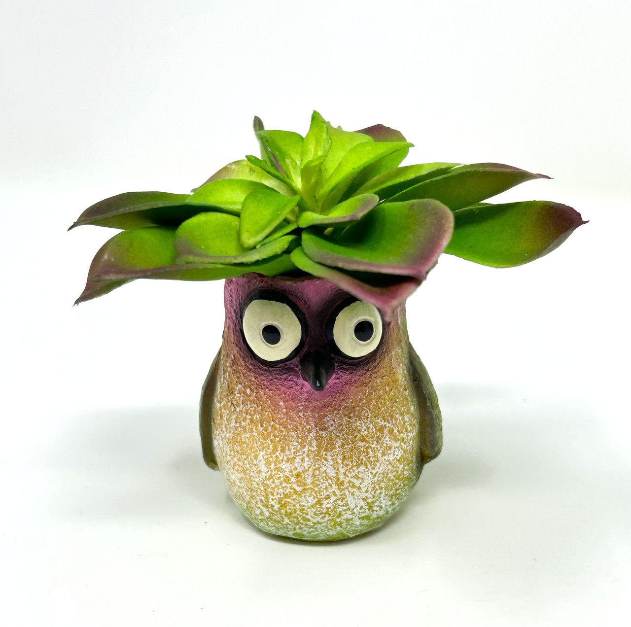 artificial dieffenbachia plant Faux Dieffenbachia Rental Prop main image 0