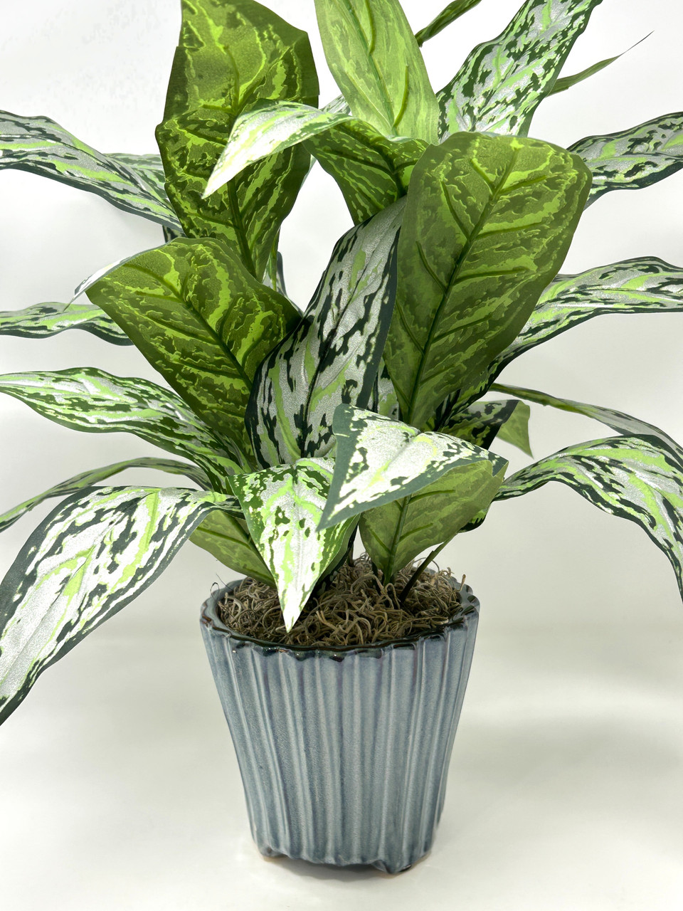 money plant stand Buy Money Plant in Blue Metal Planter with Stand Online