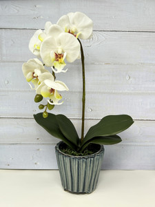 16" Lg WHITE Phalaenopsis ORCHID silk flower planter, 4" Blue ceramic footed pot, handmade original by Lower Forty Farm, OOAK unique gift, home office decor