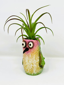 8" Potted Flit HUMMINGBIRD Blob House Mini pot WITH faux Harrisii Air Plant as shown, handmade original by Lower Forty Farm, unique gift, home office decor