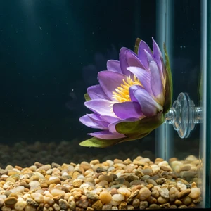 3 inch Small VIOLET Lilac Soft Silk WATER LILY Flower aquarium plant, Suction Cup Base, Goldfish & Betta-safe plant, Low