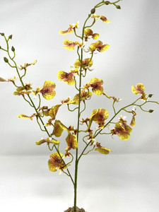20" yellow Oncidium orchid aquarium flower