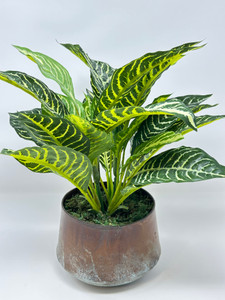 12-13" Artificial Silk ZEBRA PLANT faux Silk plant in Copper Pot, handmade original by filled artificial planter by Lower Forty Farm, home office decor