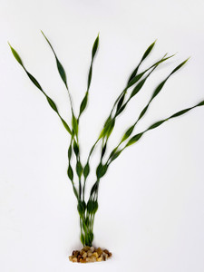 11" Jungle Val plastic aquarium plant
