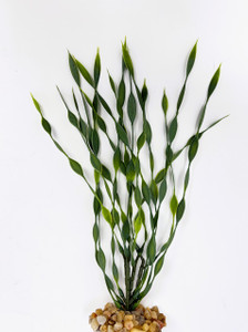 9" Jungle Val bush aquarium plant