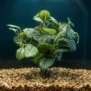 11" tall Green-White FITTONIA Nerve BUSH Silk Aquarium plant, STONE base, Lower Forty Farm, Goldfish & Betta-safe plant,  artificial aquarium plant