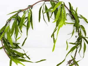 54" Large Hanging WILLOW BRANCH Plant, artificial aquarium terrarium plant
