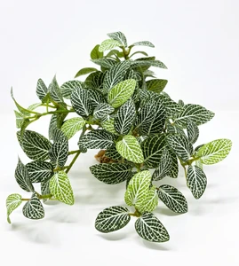 11" Long LARGE Dark Green Fittonia NERVE Silk Bush Aquarium plant, STONE base, Goldfish & Betta-safe plant, Lower Forty Farm artificial aquarium plant