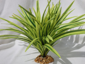 8" Large LIGHT GREEN-Striped DRAGON Dracaena soft silk Betta-safe plant, stone base, Lower Forty Farm artificial aquarium plant 8" Large LIGHT GREEN-Striped DRAGON Dracaena soft silk Betta-safe plant, stone base, Lower Forty Farm artificial aquarium plant