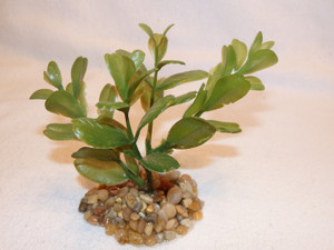 3" MINI Extra Small LIGHT Green BOXWOOD Plastic Plant, Stone Base, Lower Forty Farm, unique handmade realistic natural-looking artificial aquarium plant 3" MINI Extra Small LIGHT Green BOXWOOD Plastic Plant, Stone Base, Lower Forty Farm, unique handmade realistic natural-looking artificial aquarium plant