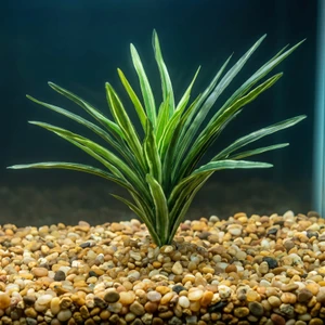 7-8" Medium DARK Green Striped DRAGON Dracaena Soft Betta-safe plant, stone base, Lower Forty Farm artificial aquarium p