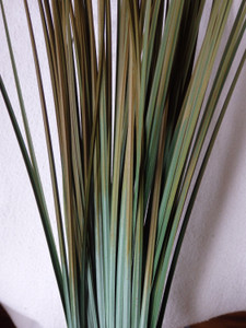 20" Large PVC Green-TAN, Two-tone soft PVC plastic plant, stone base 20" Large PVC Green-TAN, Two-tone soft PVC plastic plant, stone base