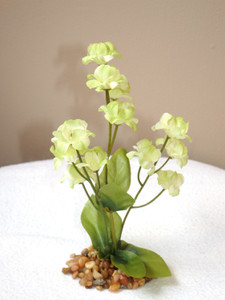 Small Cream-Green Flower Small Cream-Green Flower