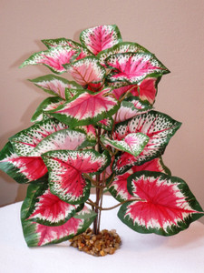 11" Large PINK & GREEN Caladium Bush Very soft silk Plant, Stone Base, Goldfish & Betta-safe plant, Lower Forty Farm artificial aquarium plant 11" Large PINK & GREEN Caladium Bush Very soft silk Plant, Stone Base, Goldfish & Betta-safe plant, Lower Forty Farm artificial aquarium plant