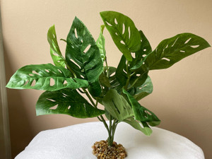 12"x12" Split Leaf PHILO BUSH Silk Philodendron aquarium PLANT, Stone base, Goldfish & Betta-safe plant, Lower Forty Farm artificial aquarium plant 12"x12" Split Leaf PHILO BUSH Silk Philodendron aquarium PLANT, Stone base, Goldfish & Betta-safe plant, Lower Forty Farm artificial aquarium plant