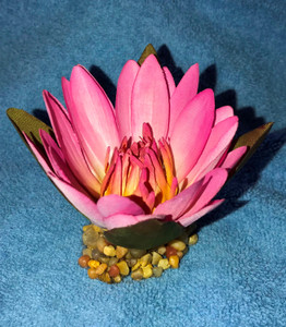 3 inch Small PINK Soft Silk WATER LILY Flower aquarium plant, Stone Base, Goldfish & Betta-safe plant, Lower Forty Farm artificial aquarium plant 3 inch Small PINK Soft Silk WATER LILY Flower aquarium plant, Stone Base, Goldfish & Betta-safe plant, Lower Forty Farm artificial aquarium plant