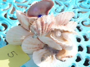 Sea SHELL ART (#5) sculpture - 1 Pearl, 1 Blue Gem natural seashell, beach theme Sea SHELL ART (#5) sculpture - 1 Pearl, 1 Blue Gem natural seashell, beach theme