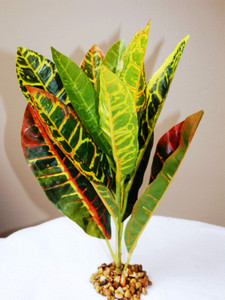 10" Medium CROTON PLANT Plastic-coated silk Plant, Stone Base, Goldfish & Betta-safe plant, Lower Forty Farm artificial aquarium plant 10" Medium CROTON PLANT Plastic-coated silk Plant, Stone Base, Goldfish & Betta-safe plant, Lower Forty Farm artificial aquarium plant
