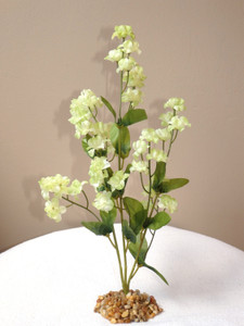 Large Cream-Green Flower Large Cream-Green Flower