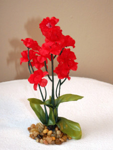 5.5 in. Bright RED Soft Silk Baby's Breath Small FLOWER  plant, Stone base, Goldfish & Betta-safe plant, Lower Forty Farm artificial aquarium plant 5.5 in. Bright RED Soft Silk Baby's Breath Small FLOWER  plant, Stone base, Goldfish & Betta-safe plant, Lower Forty Farm artificial aquarium plant