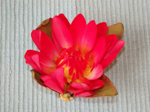 3 inch Small RED Soft Silk WATER LILY Small Flower aquarium plant, Stone Base, Goldfish & Betta-safe plant, Lower Forty Farm artificial aquarium plant