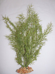 13 in. Small 3-stem THICK OLIVE Green SPRENGERI Soft Plastic Wireless Plant, Stone Base, Lower Forty Farm, unique handmade realistic natural-looking artificial aquarium plant 13 in. Small 3-stem THICK OLIVE Green SPRENGERI Soft Plastic Wireless Plant, Stone Base, Lower Forty Farm, unique handmade realistic natural-looking artificial aquarium plant