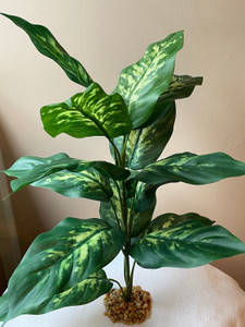 18" XL 14-LEAF Silk Spotted DIEFFENBACHIA Silk Variegated Shade Goldfish & Betta-safe plant, stone base, Lower Forty Farm artificial aquarium plant 18" XL 14-LEAF Silk Spotted DIEFFENBACHIA Silk Variegated Shade Goldfish & Betta-safe plant, stone base, Lower Forty Farm artificial aquarium plant