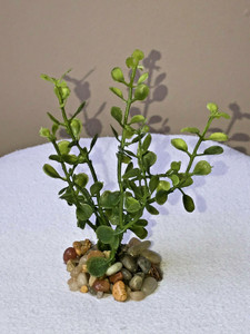 4.5" MINI Baby Button Leaf (cover for babies) plastic PLANT, stone 4.5" MINI Baby Button Leaf (cover for babies) plastic PLANT, stone