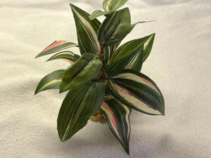 3-4" SM (2-stem) Green/Cream/Pink JEW (INCH) BUSH Silk Plant, Stone Base, Goldfish & Betta-safe plant, Lower Forty Farm artificial aquarium plant