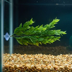 10" Floating Sea Spray Betta Hammock soft plastic Plant, SUCTION CUP base, Lower Forty Farm artificial aquarium plant