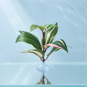 3 in. Green-White-Pink Silk JEW Aquarium Betta safe Plant, SUCTION CUP base, Lower Forty Farm artificial aquarium plant
