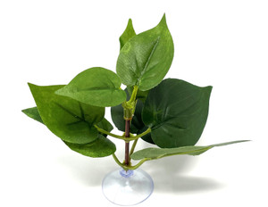 Green Pothos Artificial Silk Aquarium Plant Soft Betta safe Plant, SUCTION CUP base, Lower Forty Farm artificial aquarium plant Green Pothos Artificial Silk Aquarium Plant Soft Betta safe Plant, SUCTION CUP base, Lower Forty Farm artificial aquarium plant