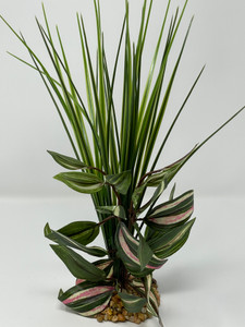13" Green Spike Weed & Pink Jew Mix Combo 818C, Stone base, Realistic Artificial Aquarium Soft Silk & plastic plant, Lower Forty Farm unique combination artificial aquarium plant arrangement 13" Green Spike Weed & Pink Jew Mix Combo 818C, Stone base, Realistic Artificial Aquarium Soft Silk & plastic plant, Lower Forty Farm unique combination artificial aquarium plant arrangement