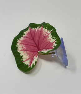 Tiny 3" Soft Betta Hammock!! 1-leaf Pink & Green Caladium Silk Betta safe Plant, SUCTION CUP base, Lower Forty Farm artificial aquarium plant Tiny 3" Soft Betta Hammock!! 1-leaf Pink & Green Caladium Silk Betta safe Plant, SUCTION CUP base, Lower Forty Farm artificial aquarium plant