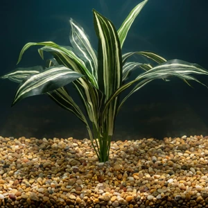 17x24" XL STRIPED SWORD silk bush Centerpiece Shade Goldfish & Betta-safe plant, stone base, Lower Forty Farm artificial