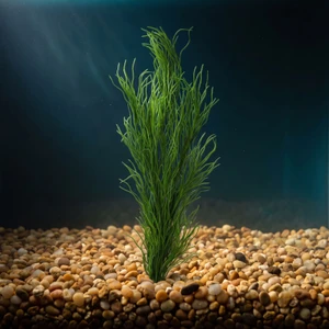 28 in. THICK 3-stem Curly SEA GRASS WILLOW Soft flowing Plastic Wireless Plant, Stone Base, Lower Forty Farm, unique han