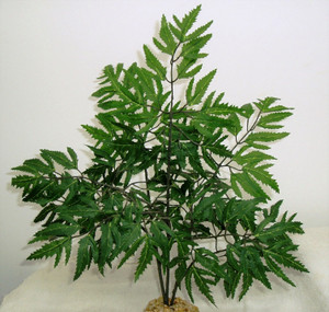 15" x12" Large Green ARALIA Bush silk Plant, Stone Base, Goldfish & Betta-safe plant, Lower Forty Farm artificial aquarium plant