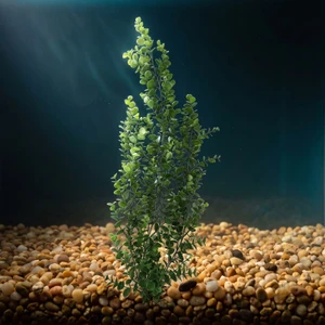 26" XL 3-stem Green BACOPA Soft Plastic Wireless Plant, Stone Base, Lower Forty Farm, unique handmade realistic natural-