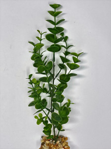 10" Small 1-stem Green BACOPA Soft Plastic Wireless Plant, Stone Base, unique handmade realistic natural-looking artificial aquarium plant, Betta safe